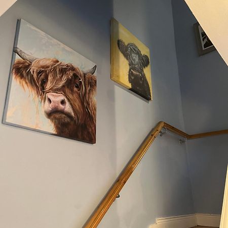 11 Parkmore Street, Ormeau Road, Belfast, Bt7 2Gt, 2 Bedroom House Dış mekan fotoğraf