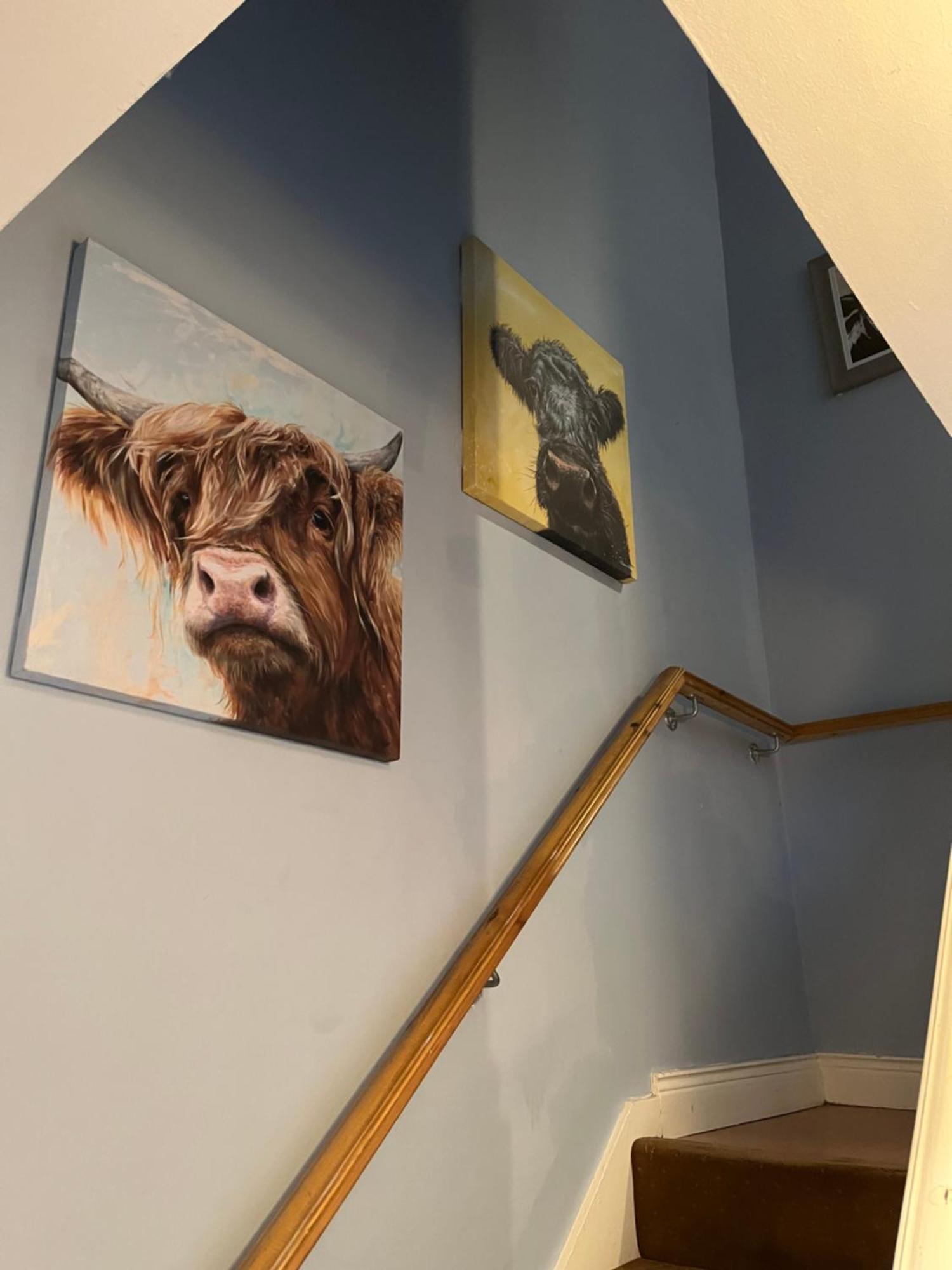 11 Parkmore Street, Ormeau Road, Belfast, Bt7 2Gt, 2 Bedroom House Dış mekan fotoğraf